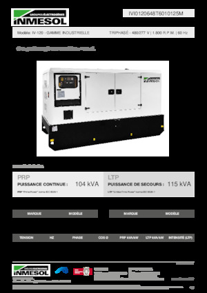 Diesel Generatoren INMESOL IV-120