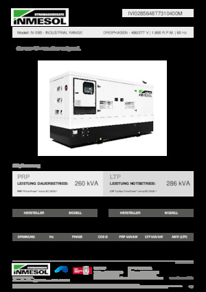 Diesel Generatoren INMESOL IV-285