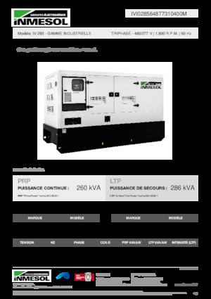 Diesel Generatoren INMESOL IV-285