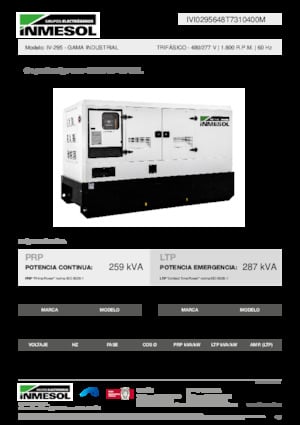 Diesel Generatoren INMESOL IV-295