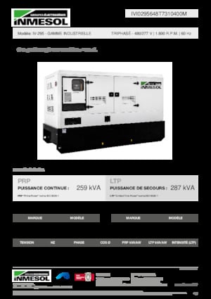 Diesel Generatoren INMESOL IV-295