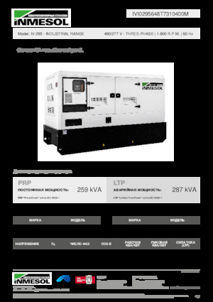Diesel Generatoren INMESOL IV-295