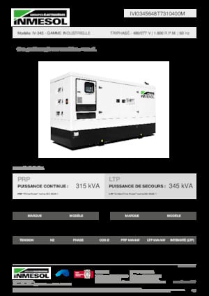 Diesel Generatoren INMESOL IV-345