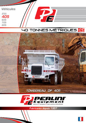 Stortwagen met achterwaartse kanteling Perlini DP 405 WD