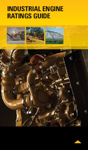 Motoren Caterpillar 3054C