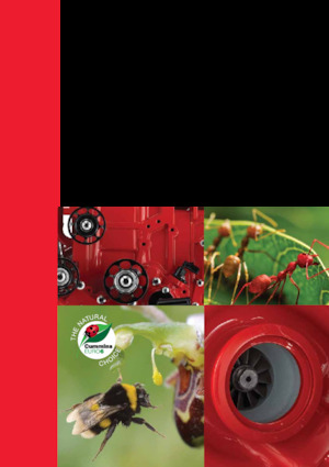 Motoren Cummins ISB4.5