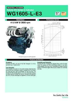 Motoren Kubota WG1605-L-E3