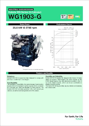 Motoren Kubota WG1903-G