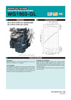 Motoren Kubota WG1903-GL