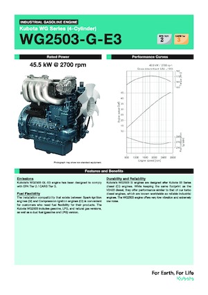 Motoren Kubota WG2503-G-E3