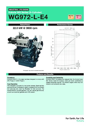 Motoren Kubota WG972-L-E4