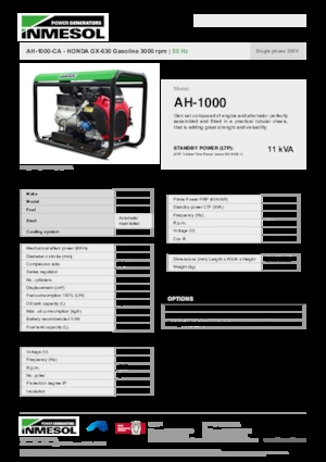 Benzine Generatoren INMESOL AH-1000-CA