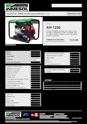 Benzine Generatoren INMESOL AH 1250-CA