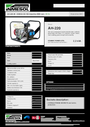 Benzine Generatoren INMESOL AH-220-M
