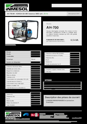Benzine Generatoren INMESOL AH-700-M