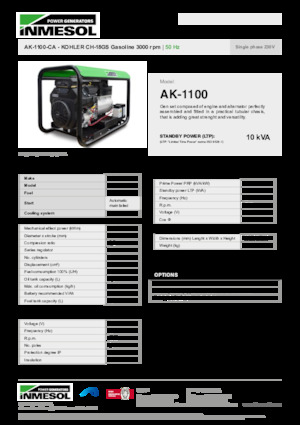 Benzine Generatoren INMESOL AK-1100-CA
