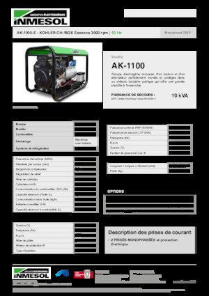 Benzine Generatoren INMESOL AK-1100-E