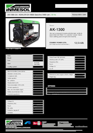 Benzine Generatoren INMESOL AK-1300-CA