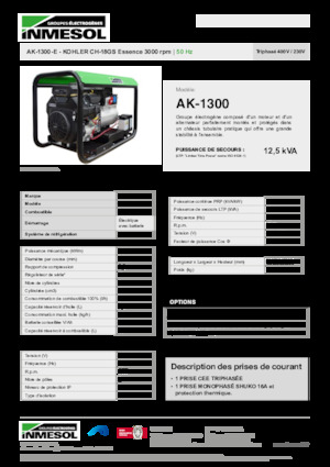 Benzine Generatoren INMESOL AK-1300-E