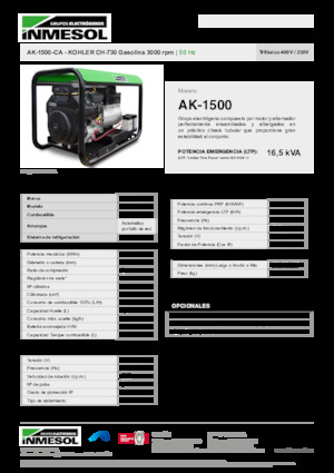 Benzine Generatoren INMESOL AK 1500-CA