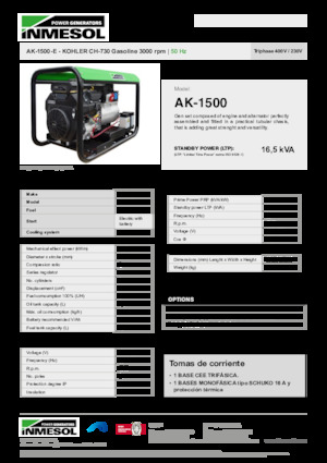 Benzine Generatoren INMESOL AK-1500-E