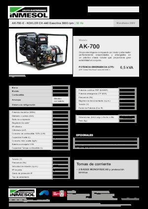 Benzine Generatoren INMESOL AK-700-E