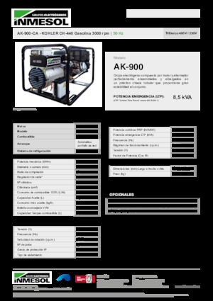 Benzine Generatoren INMESOL AK-900-CA