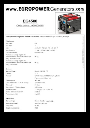 Benzine Generatoren Europower EG4500