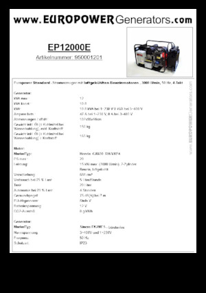 Benzine Generatoren Europower EP12000E (S)
