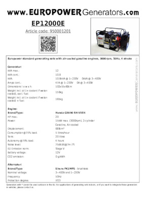 Benzine Generatoren Europower EP12000E (S)