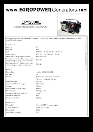 Benzine Generatoren Europower EP12000E (S)