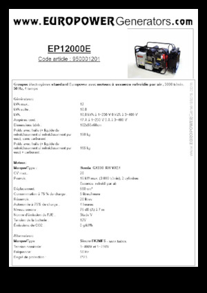 Benzine Generatoren Europower EP12000E (S)