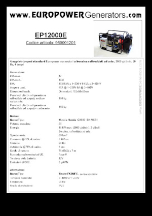 Benzine Generatoren Europower EP12000E (S)