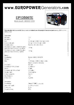 Benzine Generatoren Europower EP13500TE (S)