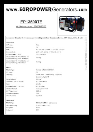 Benzine Generatoren Europower EP13500TE (S)