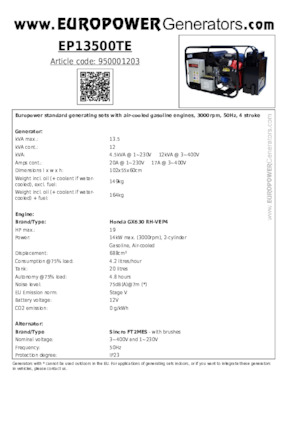 Benzine Generatoren Europower EP13500TE (S)