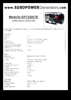 Benzine Generatoren Europower EP13500TE (S)