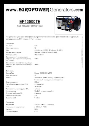Benzine Generatoren Europower EP13500TE (S)