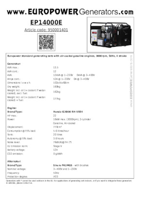 Benzine Generatoren Europower EP14000E (S)