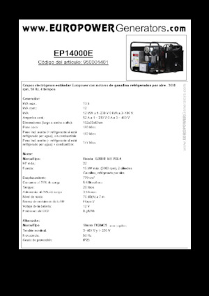 Benzine Generatoren Europower EP14000E (S)