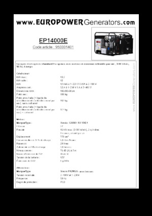 Benzine Generatoren Europower EP14000E (S)