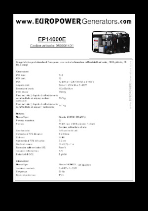 Benzine Generatoren Europower EP14000E (S)