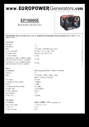 Benzine Generatoren Europower EP16000E (S)