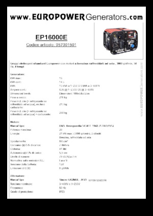 Benzine Generatoren Europower EP16000E (S)