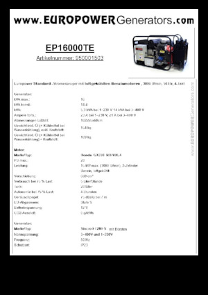 Benzine Generatoren Europower EP16000TE (S)
