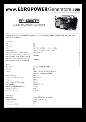 Benzine Generatoren Europower EP16000TE (S)