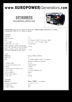 Benzine Generatoren Europower EP16000TE (S)