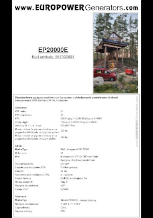 Benzine Generatoren Europower EP20000E (S)