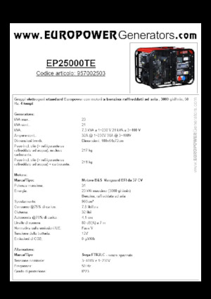 Benzine Generatoren Europower EP25000TE (S)