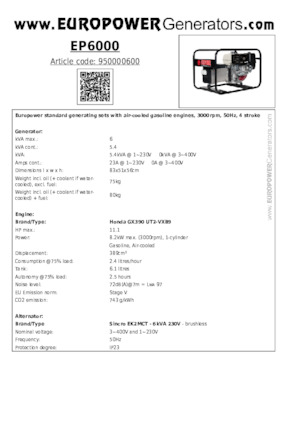 Benzine Generatoren Europower EP6000 (S)